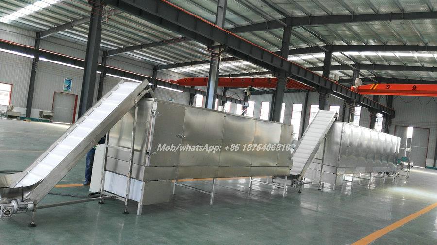 kellogs corn flakes plant