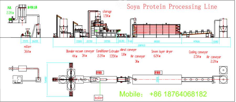 Soya Protein Processing Line Layout
