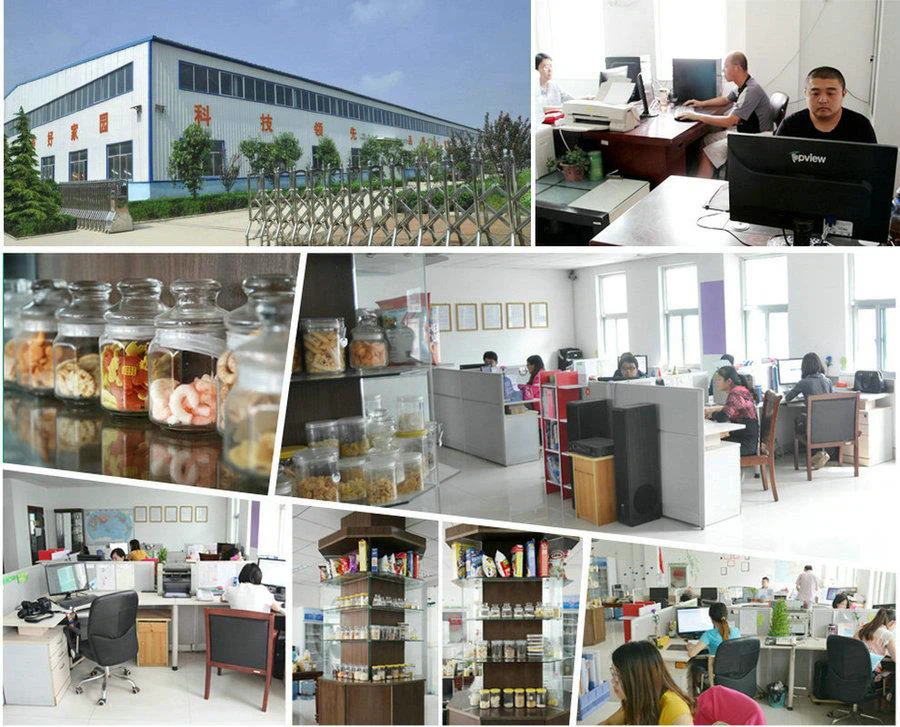 01 office 00_900