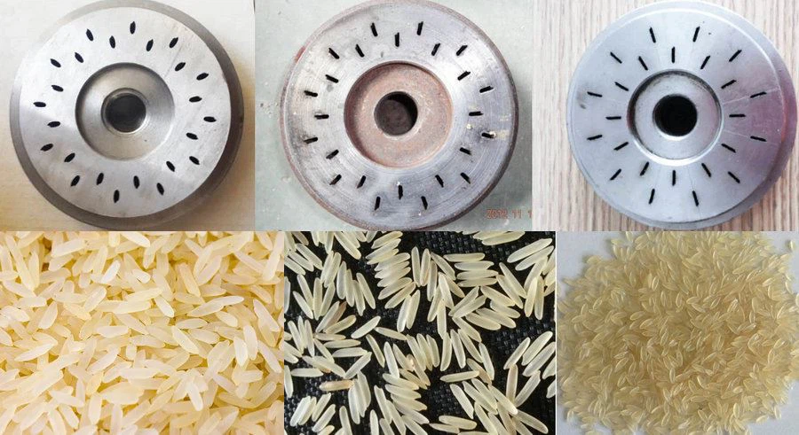 nutritional rice project nutritional rice project